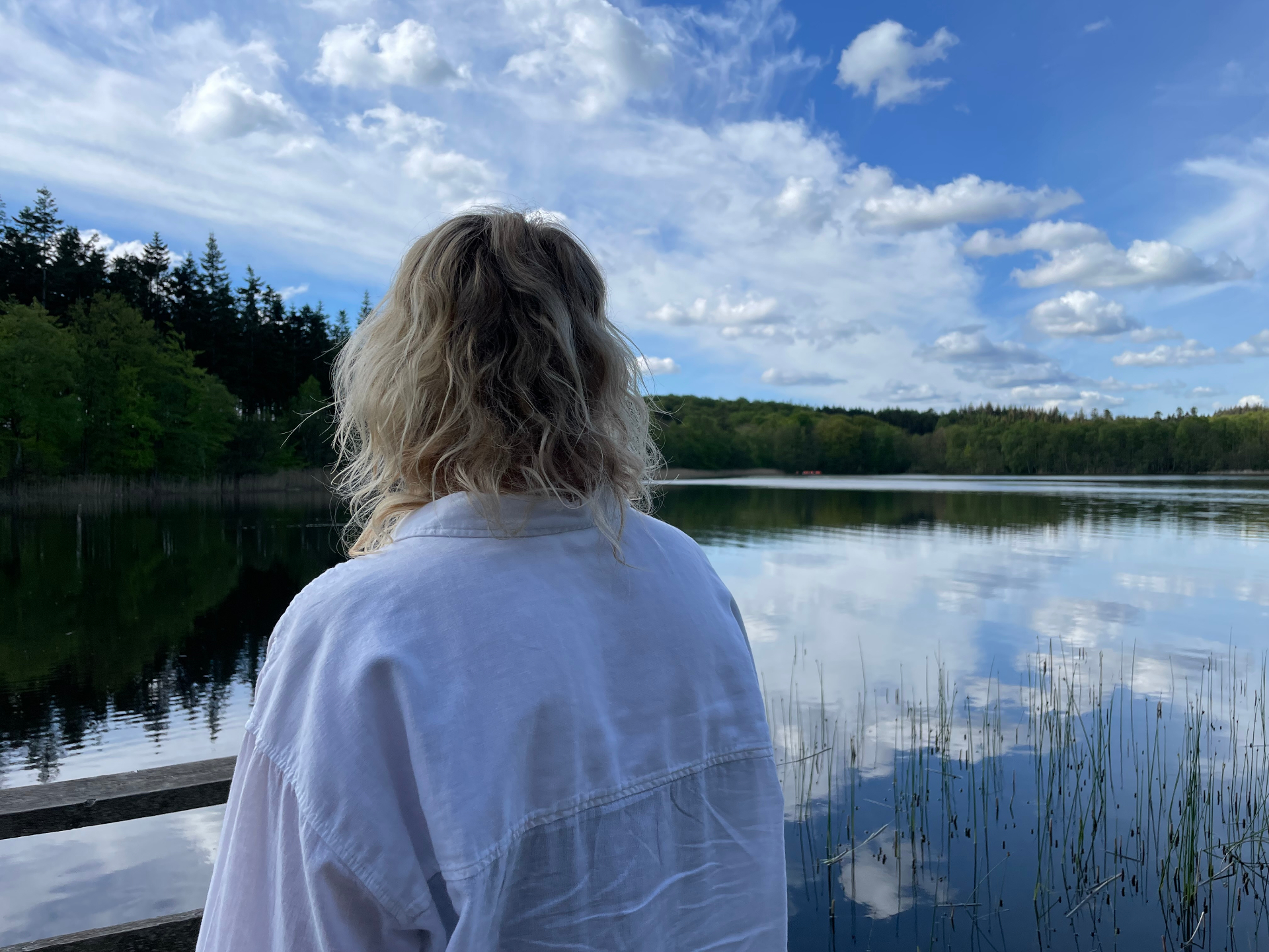 Stille sø ved skoven